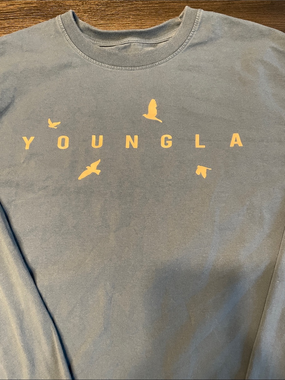 YoungLA Dusty Blue Long Sleeve Tee with Bird Logo - Picture 2 of 4